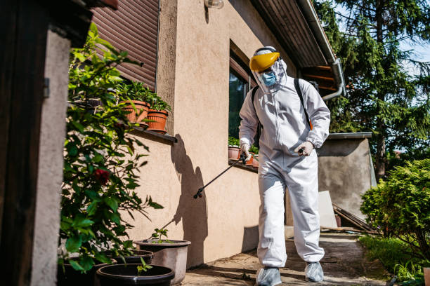 Best Rodent Control Near Me  in Ponderosa Park, CO