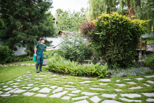 Best Best Pest Control Companies  in Ponderosa Park, CO