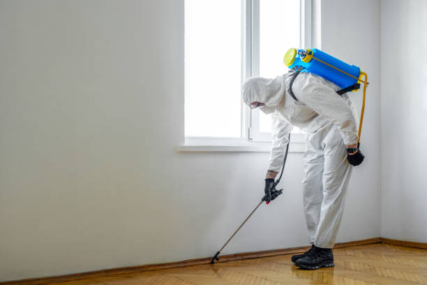 Best Pest Control for Homes  in Ponderosa Park, CO