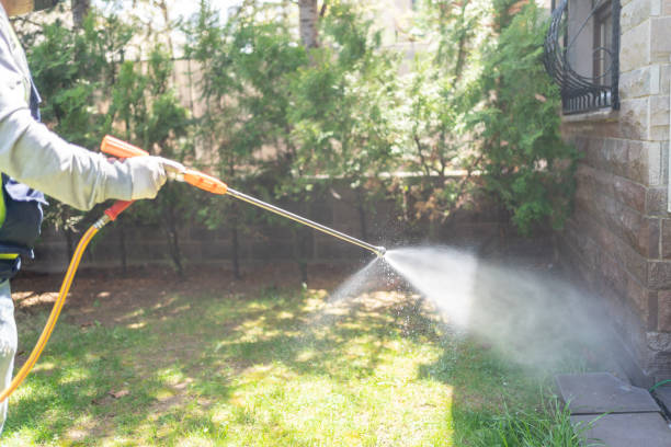 Best Rat Extermination Near Me  in Ponderosa Park, CO