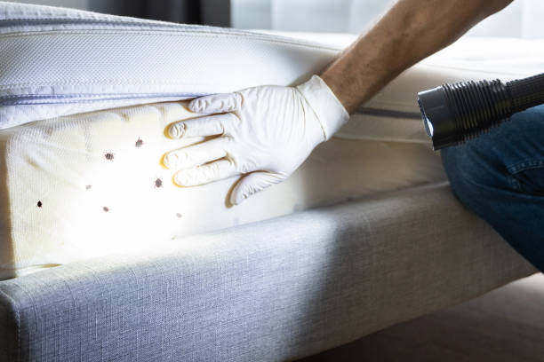 Best Best Pest Control Companies  in Ponderosa Park, CO
