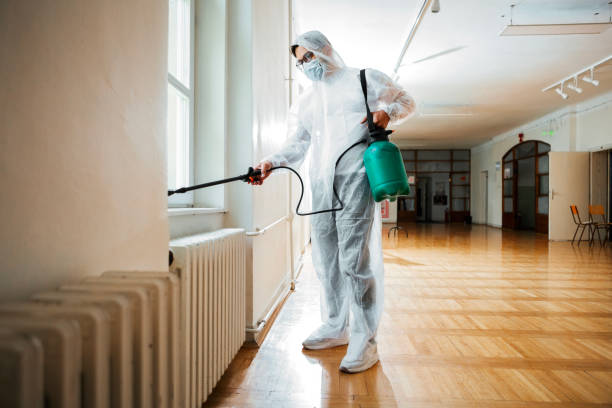 Professional Pest Control in Ponderosa Park, CO