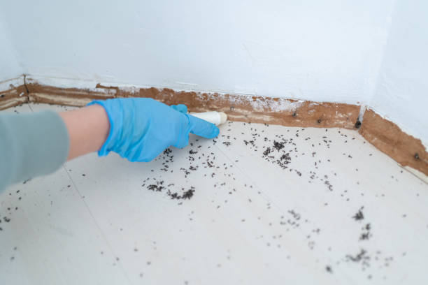  Ponderosa Park, CO Pest Control Pros