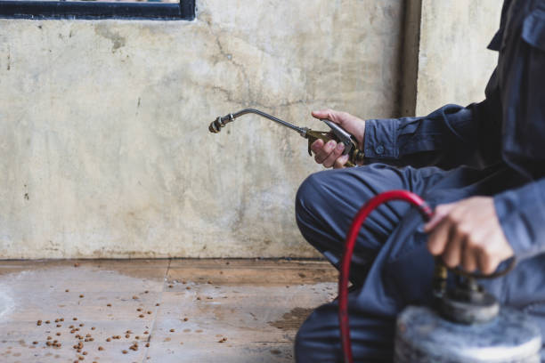 Best Best Pest Control Companies  in Ponderosa Park, CO