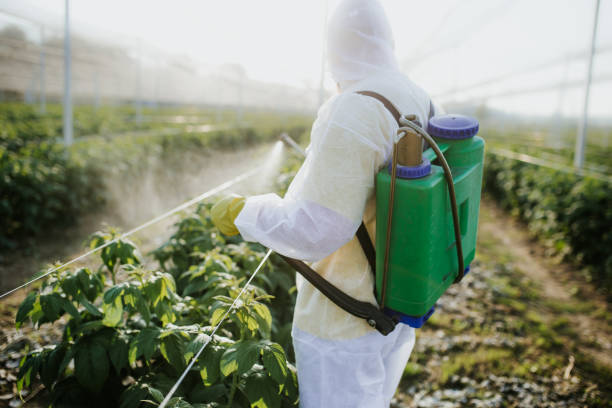 Best Local Pest Control Services  in Ponderosa Park, CO
